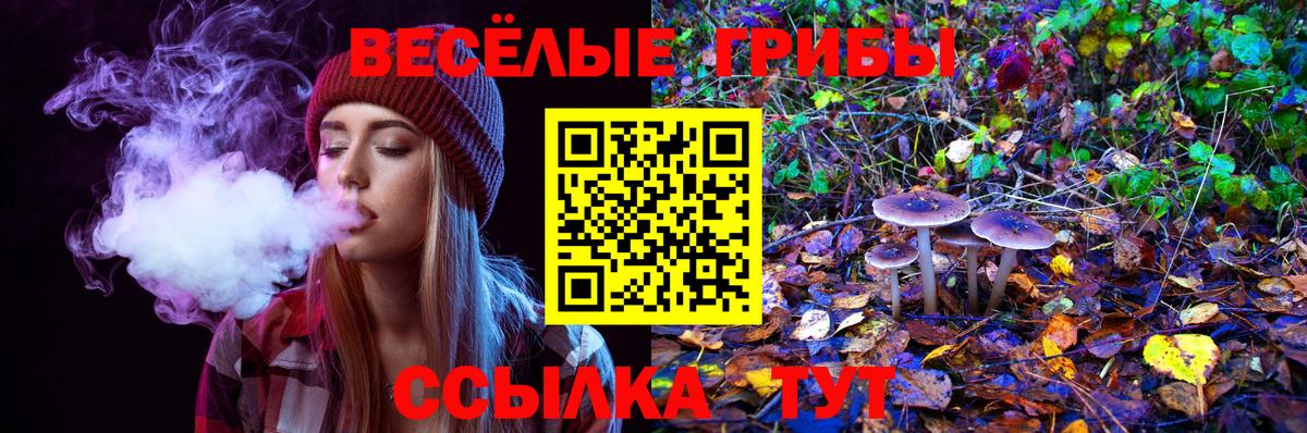 Галлюциногенные грибы GOLDEN TEACHER  Псилоцибиновые грибы Psilocybine cubensis  Вход с VPN  Старая Купавна 