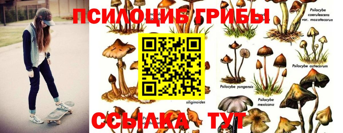 Галлюциногенные грибы ЛСД Старая Купавна